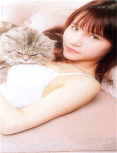 黄蜂尾后针